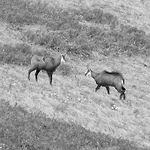 Les Luges Pour 4 A 6 Pers Vue Vallee Wifi Daire *