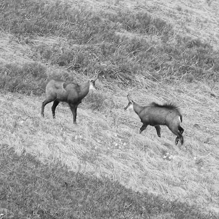 Les Luges Pour 4 A 6 Pers Vue Vallee Wifi Apartment *