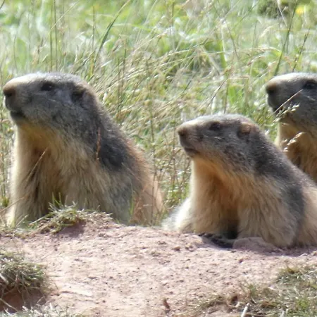 Les Luges Pour 4 A 6 Pers Vue Vallee Wifi